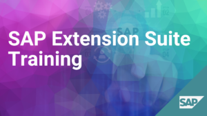 SAP Extension Suite Training