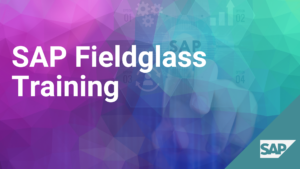 SAP Fieldglass Training