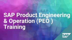 SAP Production Engineering Operation (PEO ) Training