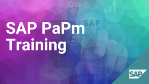 SAP Profitability and Performance Management (PaPM) Training